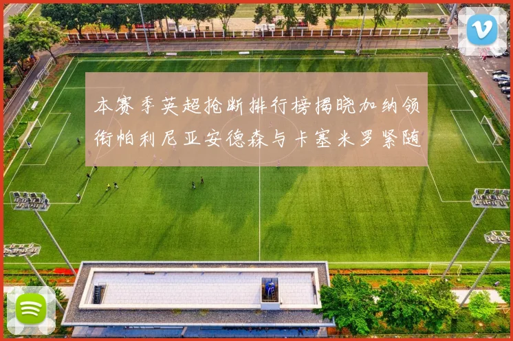 本赛季英超抢断排行榜揭晓加纳领衔帕利尼亚安德森与卡塞米罗紧随其后