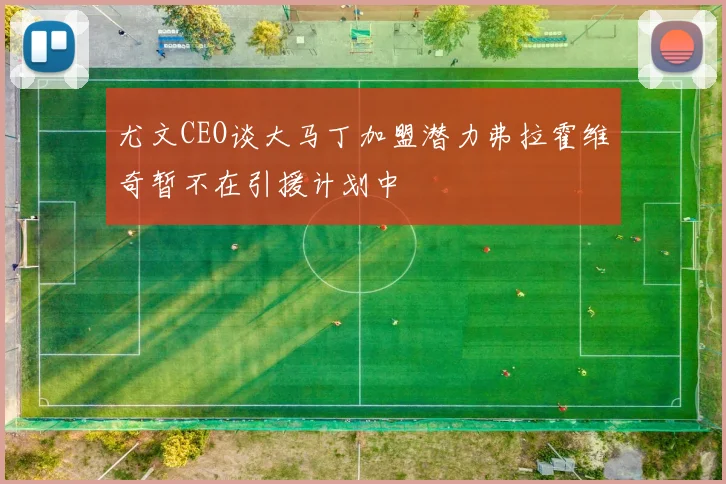 尤文CEO谈大马丁加盟潜力弗拉霍维奇暂不在引援计划中